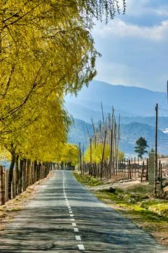Bumthang District. Stock Photos