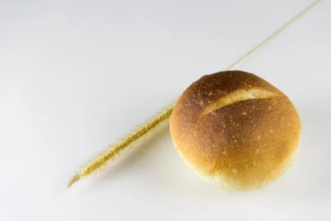 Bun bread on isolated background Stock Photos