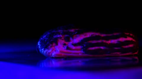 Bun Stock Footage 224691886