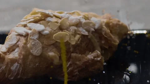 Bun Stock Footage 224696708