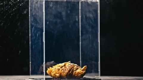 Bun Stock Footage 224697847