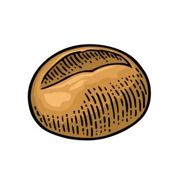 Bun. Vector black hand drawn vintage engraving Stockillustratie