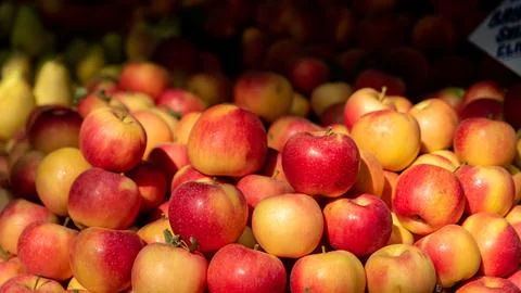 A bunch of apples , background of red apples , fruit in dramatic light Stock Photos