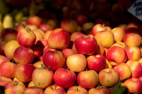 A bunch of apples , background of red apples , fruit in dramatic light Stock Photos