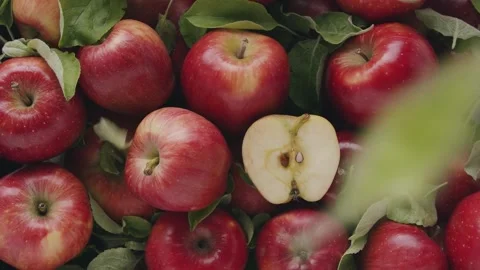 Bunch of apples Stock Footage 314908889