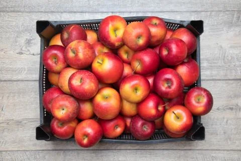 Bunch of apples on the table Stock Photos