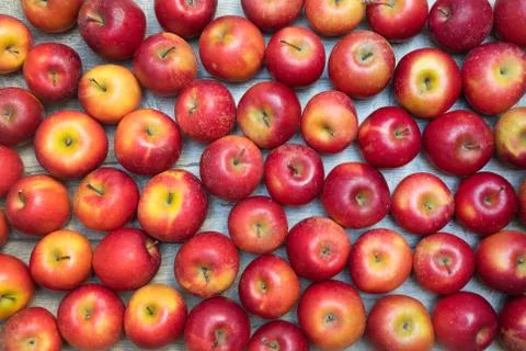 Bunch of apples on the table Stock Photos