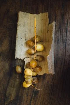 Bunch of Arabic dates. Stock Photos