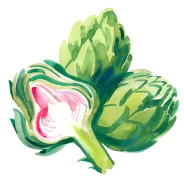 Bunch of artichockes Illustrazione stock