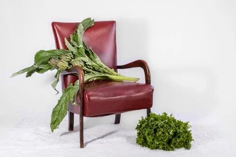 Bunch of artichokes Stock Photos