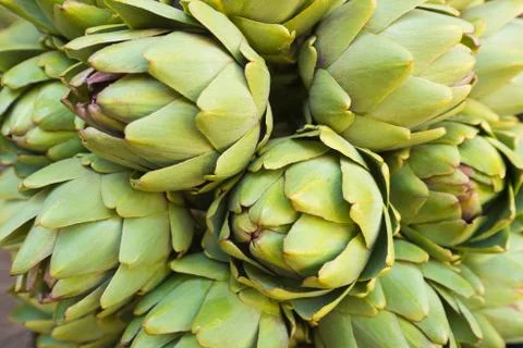 Bunch of artichokes Stock Photos