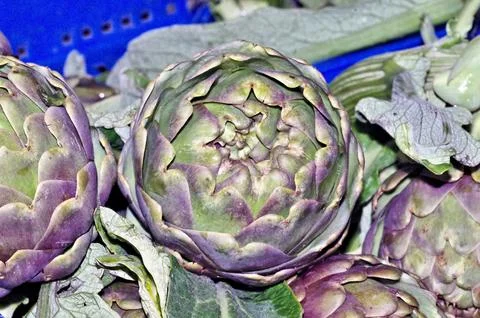 A bunch of artichokes Stock Photos