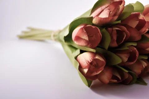 Bunch of artificial tulips Stock Photos