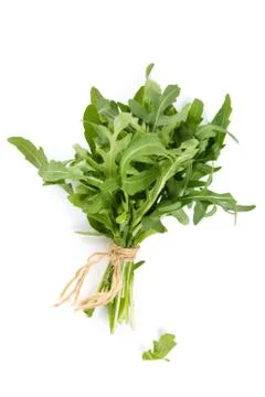 Bunch of arugula leaves. Stock Photos