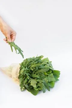 Bunch of arugula on white background Stock Photos
