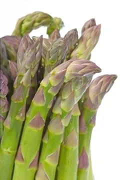 Bunch of asparagus. Stock Photos
