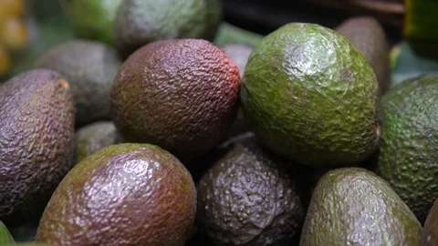 Bunch Of Avocados Closeup. Vídeos de archivo 92485340