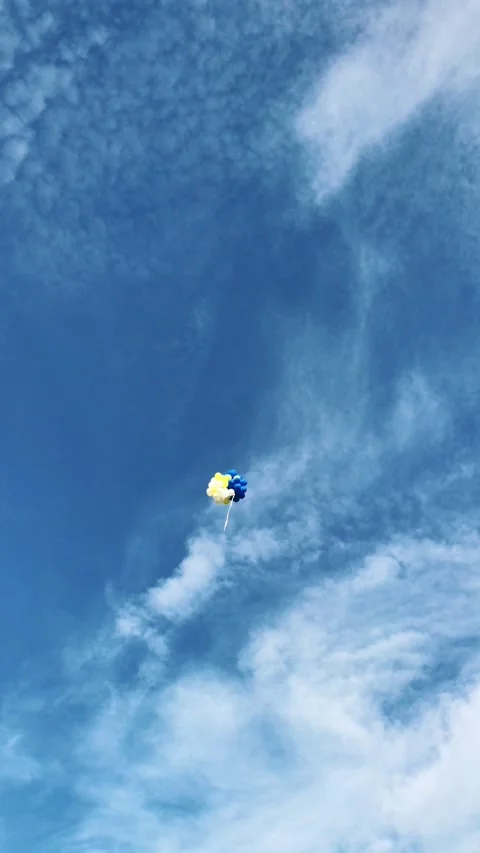 Bunch Balloons Floating in Sky Stock Footage 319037191