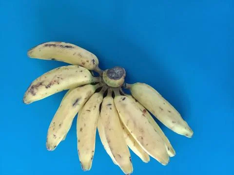 Bunch of bananas with blue background Stock Photos