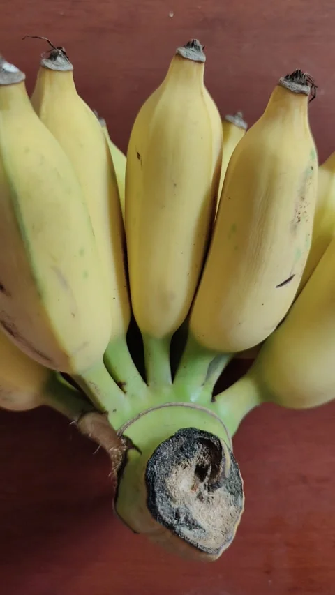 A bunch of bananas Stock Footage 289162737