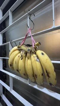 A bunch of bananas hanging from a hook Stock Photos