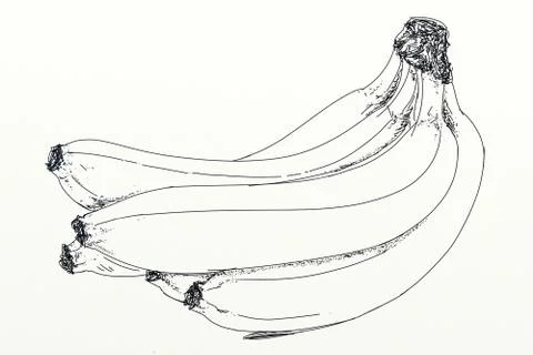Bunch of bananas Stock Illustration