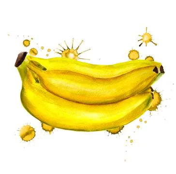 Bunch of bananas Stock Illustration