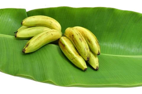 Bunch of bananas isolated on white background. Bananas with leaves Clipping P Stock Photos