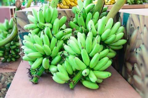 Bunch of bananas Stock Photos