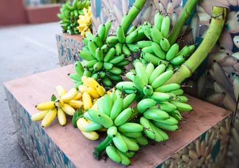 Bunch of bananas Stock Photos