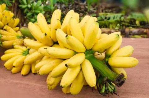 Bunch of bananas Stock Photos