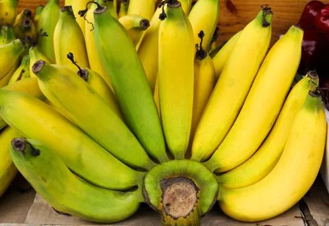Bunch of bananas. Stock Photos