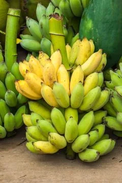 Bunch of bananas Foto stock