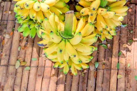 Bunch of bananas Stock Photos