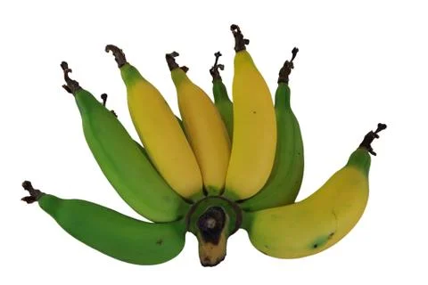 Bunch of bananas Stock Photos