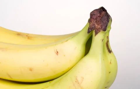 Bunch of Bananas Stock-Fotos