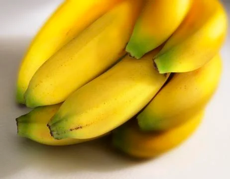 BUNCH OF BANANAS Stock Photos