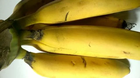 Bunch of Bananas Stock Photos