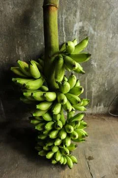 A bunch of bananas Foto stock