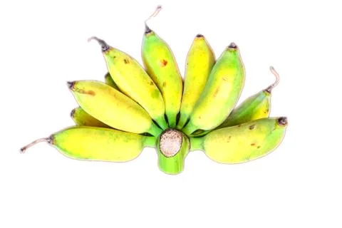 Bunch of bananas on white background with path. Stock Photos