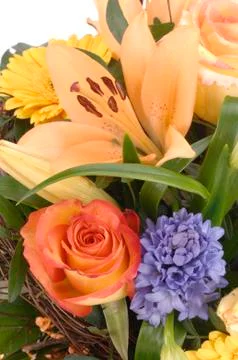 Bunch of beautiful spring flowers Stock Photos