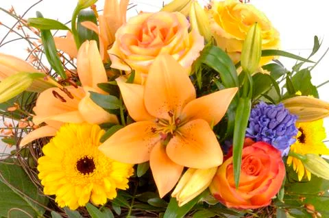 Bunch of beautiful spring flowers Stock Photos