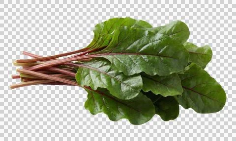 Bunch of beet greens on transparent background healthy vegetarian food Stock-Fotos