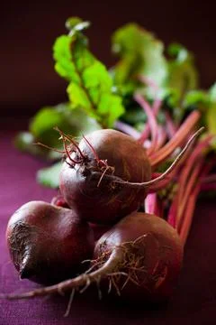 Bunch of beetroot Stock Photos