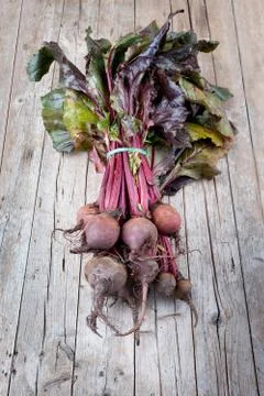 Bunch Of Beetroots Фото