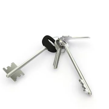A bunch of big and small door keys Stock Illustration