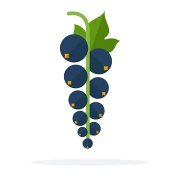 A bunch of black currant flat isolated Stock Illustration