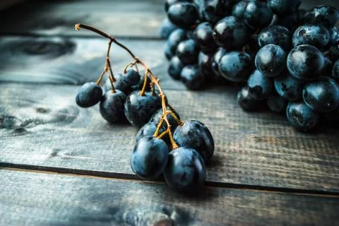 Bunch of black grapes Stock Photos