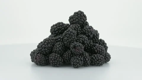 Bunch of Blackberries Stock Footage 169735530