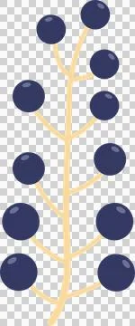 A bunch of blue berries, flat illustration Stock-Illustration